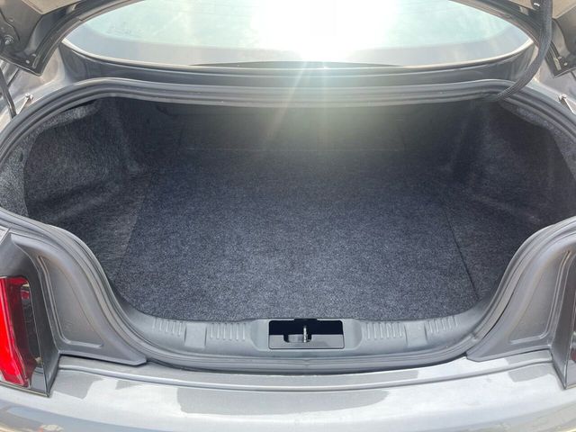 2019 Ford Mustang EcoBoost Premium Fastback - 21968911 - 18