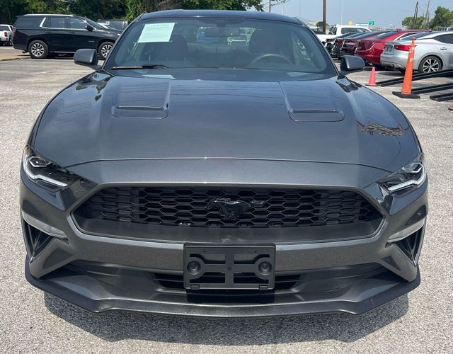 2019 Ford Mustang EcoBoost Premium Fastback - 21968911 - 1