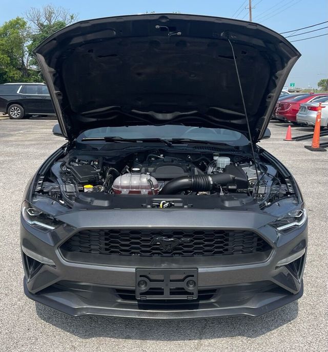 2019 Ford Mustang EcoBoost Premium Fastback - 21968911 - 19