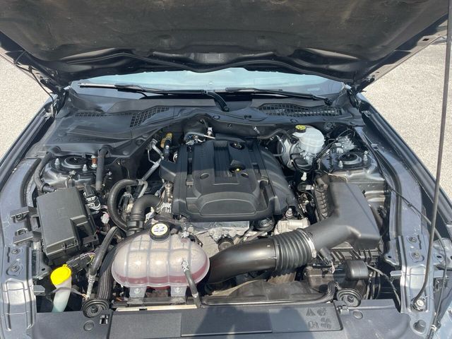 2019 Ford Mustang EcoBoost Premium Fastback - 21968911 - 20