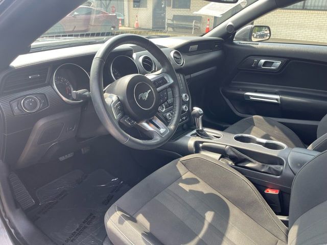 2019 Ford Mustang EcoBoost Premium Fastback - 21968911 - 8