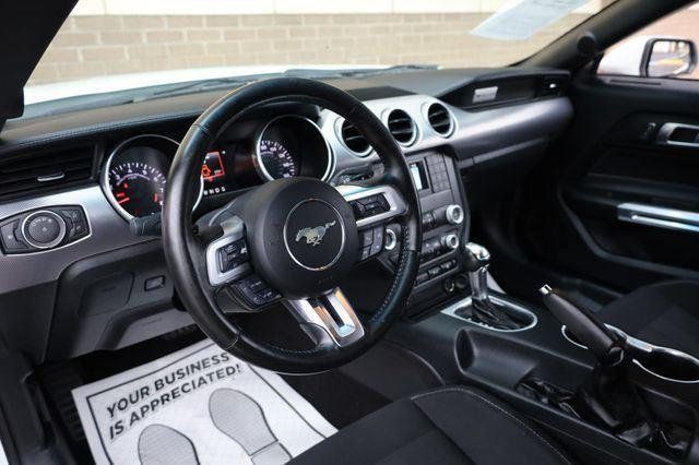 2019 Ford Mustang GT - 23064750 - 13