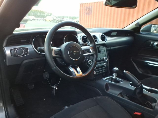 2019 Ford Mustang GT Fastback - 22963395 - 4