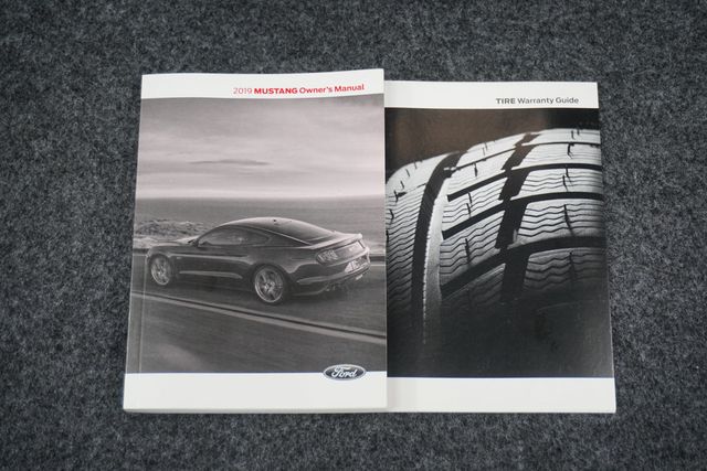 2019 Ford Mustang GT Fastback - 23007192 - 23