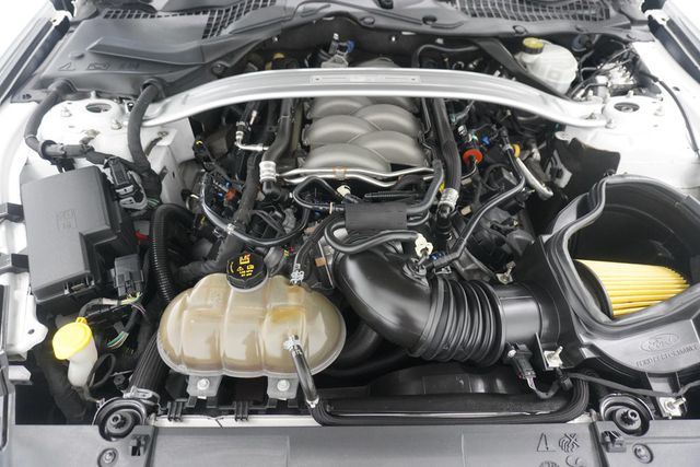 2019 Ford Mustang GT Fastback - 23021271 - 31
