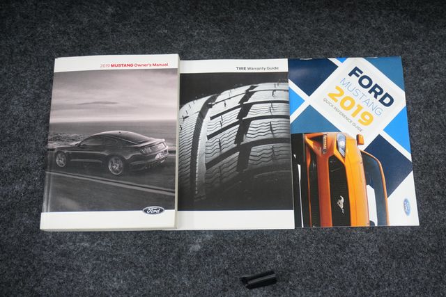 2019 Ford Mustang GT Fastback - 23026666 - 23