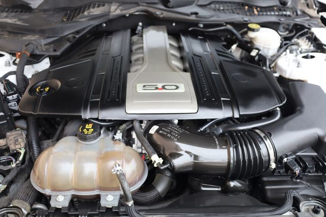 2019 Ford Mustang GT Fastback - 22980117 - 9