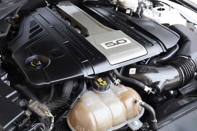 2019 Ford Mustang GT Fastback - 22980117 - 10