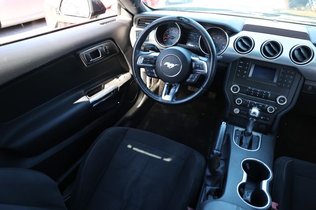 2019 Ford Mustang GT Fastback - 22982108 - 24