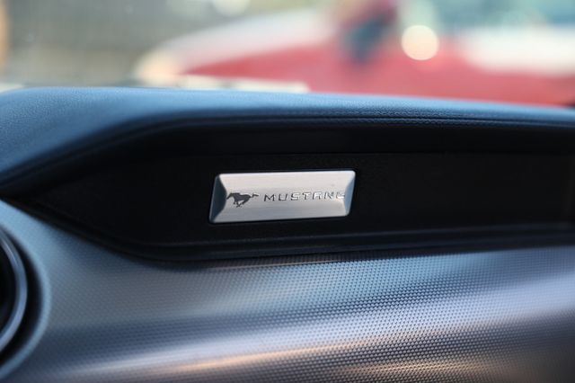 2019 Ford Mustang GT Fastback - 22982108 - 46