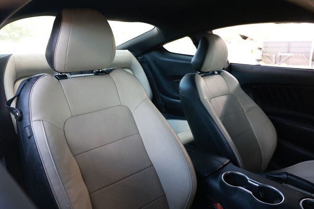 2019 Ford Mustang GT Fastback - 23011393 - 18
