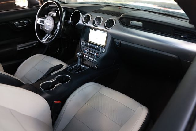 2019 Ford Mustang GT Fastback - 23011393 - 20