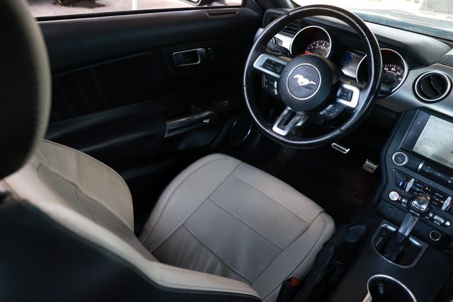 2019 Ford Mustang GT Fastback - 23011393 - 23