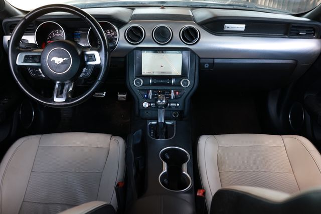 2019 Ford Mustang GT Fastback - 23011393 - 24
