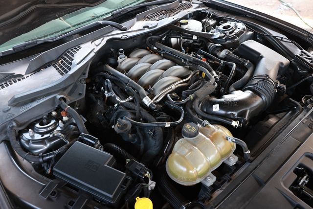 2019 Ford Mustang GT Fastback - 23011393 - 48