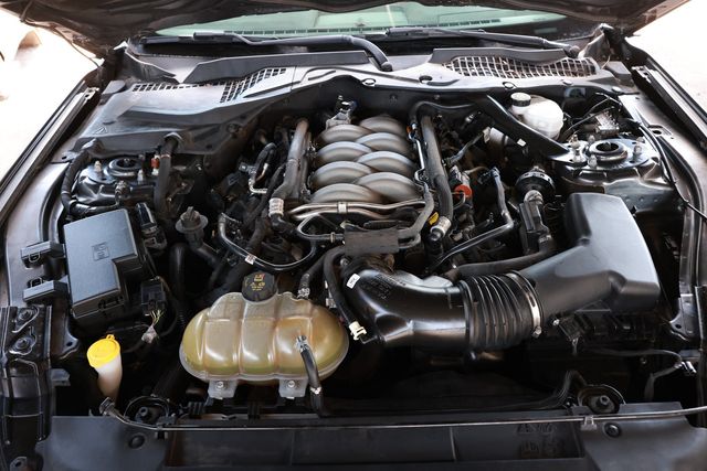 2019 Ford Mustang GT Fastback - 23011393 - 49