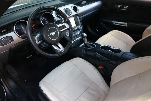 2019 Ford Mustang GT Fastback - 23011393 - 5