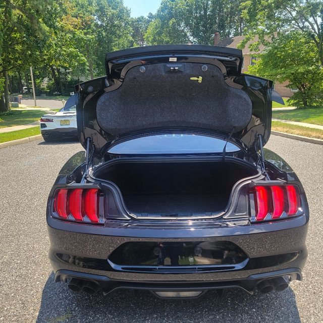 2019 Ford Mustang GT Fastback - 22487833 - 10