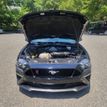 2019 Ford Mustang GT Fastback - 22487833 - 11