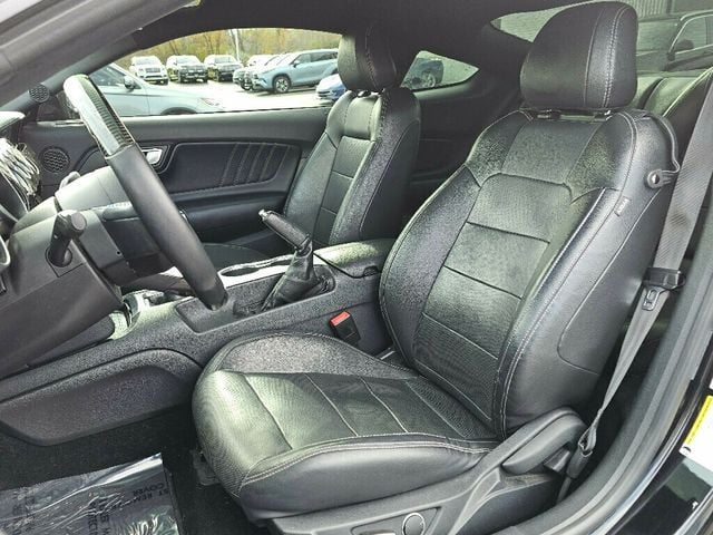 2019 Ford Mustang GT Fastback - 22944753 - 13