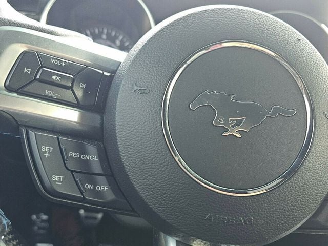 2019 Ford Mustang GT Fastback - 22944753 - 25