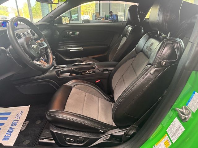 2019 Ford Mustang GT Premium - 22948341 - 9