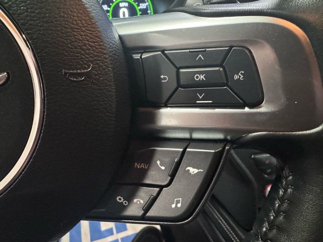 2019 Ford Mustang GT Premium - 22948341 - 13