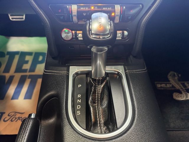 2019 Ford Mustang GT Premium - 22948341 - 20