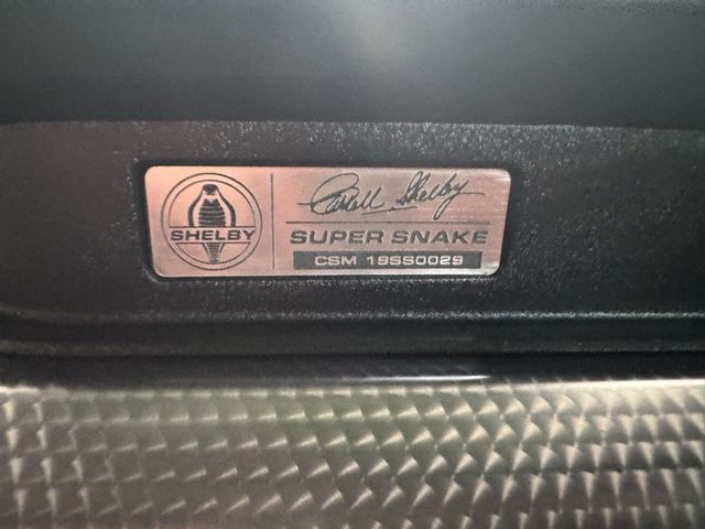 2019 Ford Mustang GT Premium - 22948341 - 23