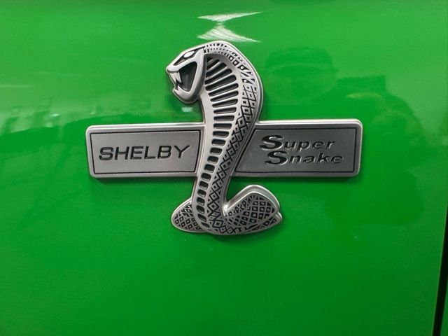 2019 Ford Mustang GT Premium - 22948341 - 25