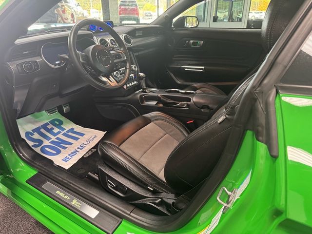 2019 Ford Mustang GT Premium - 22948341 - 8