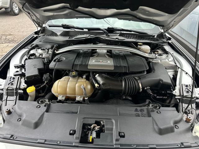 2019 Ford Mustang GT Premium Convertible - 22979174 - 22