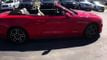 2019 Ford Mustang GT Premium Convertible - 22776406 - 8