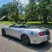 2019 Ford Mustang GT Premium Convertible - 22487832 - 11