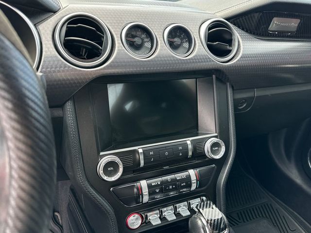 2019 Ford Mustang GT Premium Fastback - 22963728 - 15