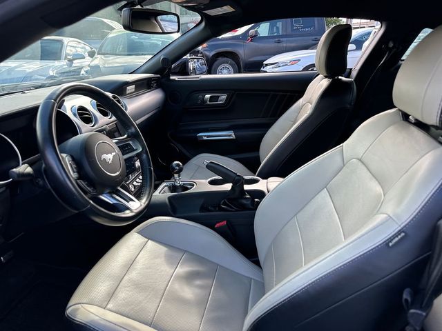 2019 Ford Mustang GT Premium Fastback - 23030832 - 12