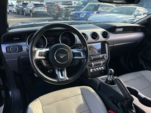 2019 Ford Mustang GT Premium Fastback - 23030832 - 13