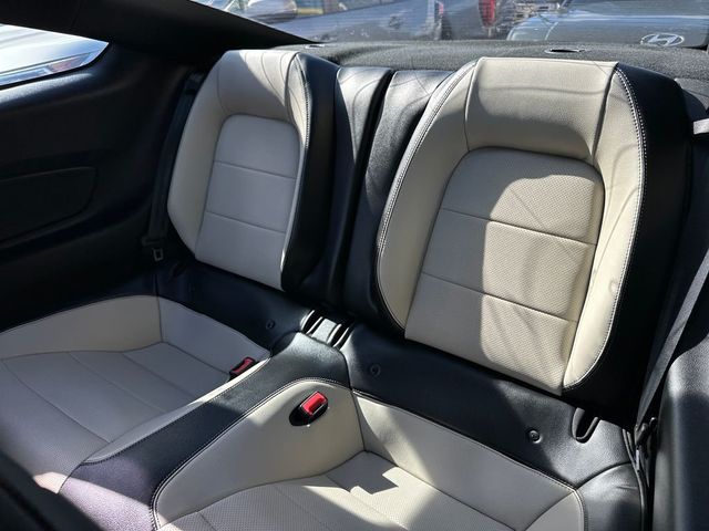 2019 Ford Mustang GT Premium Fastback - 23030832 - 14