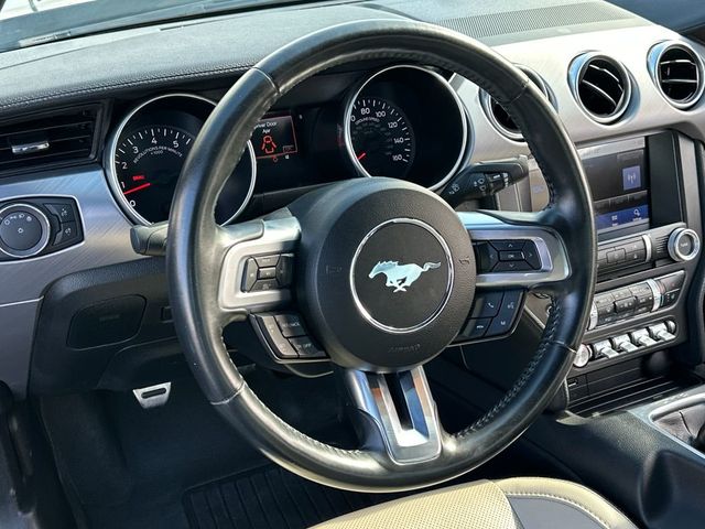 2019 Ford Mustang GT Premium Fastback - 23030832 - 17