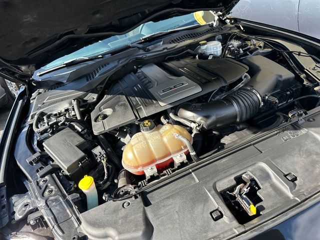 2019 Ford Mustang GT Premium Fastback - 23030832 - 20