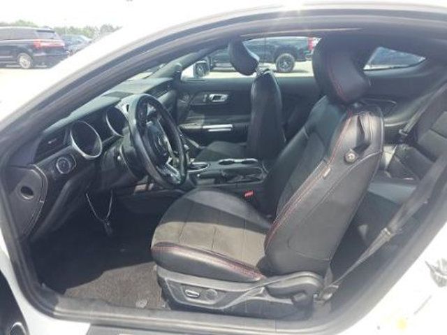2019 Ford Mustang GT Premium Fastback - 23038182 - 2