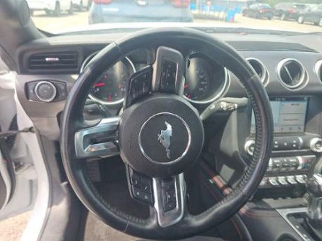 2019 Ford Mustang GT Premium Fastback - 23038182 - 4