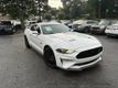 2019 Ford Mustang GT Premium Fastback - 23052700 - 1