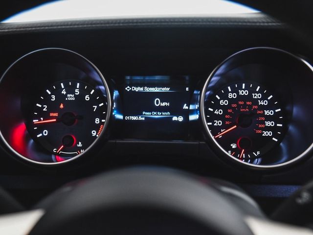 2019 Ford Mustang Shelby GT350 - 22931538 - 13