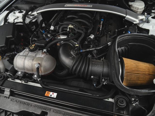 2019 Ford Mustang Shelby GT350 - 22931538 - 31