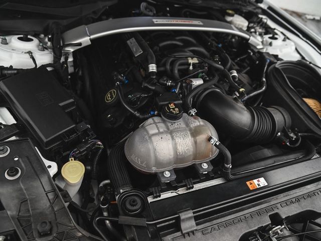 2019 Ford Mustang Shelby GT350 - 22931538 - 32