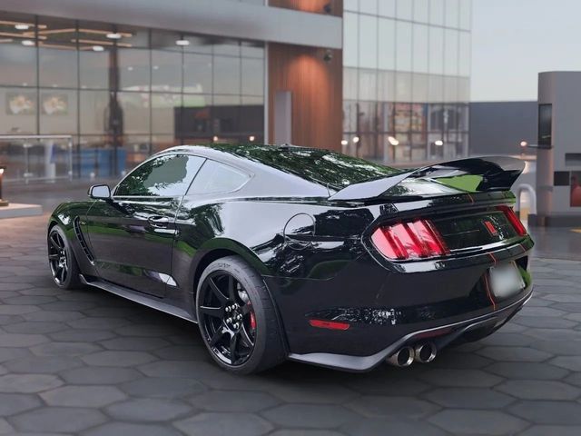 2019 Ford Mustang Shelby GT350R Fastback - 22938521 - 9