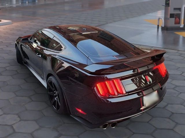 2019 Ford Mustang Shelby GT350R Fastback - 22938521 - 10