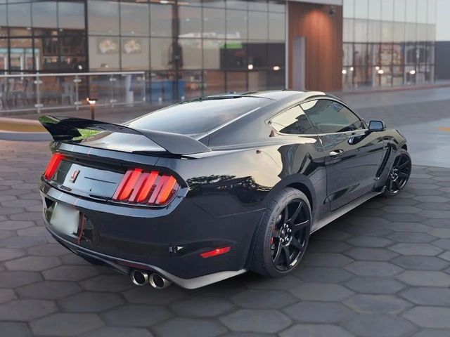 2019 Ford Mustang Shelby GT350R Fastback - 22938521 - 11