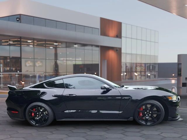 2019 Ford Mustang Shelby GT350R Fastback - 22938521 - 12
